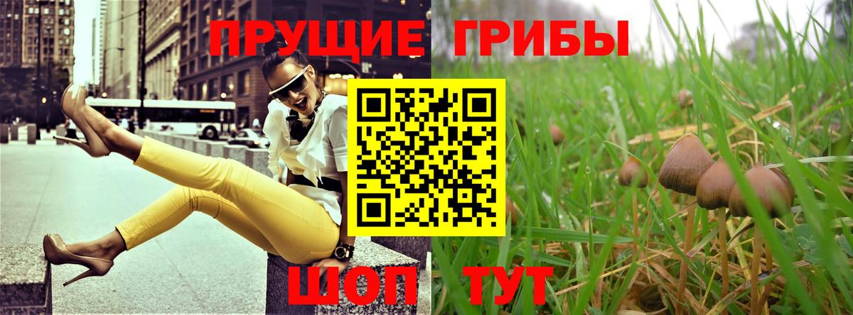 Орехово-Зуево  Псилоцибиновые грибы GOLDEN TEACHER  Вход с VPN 
